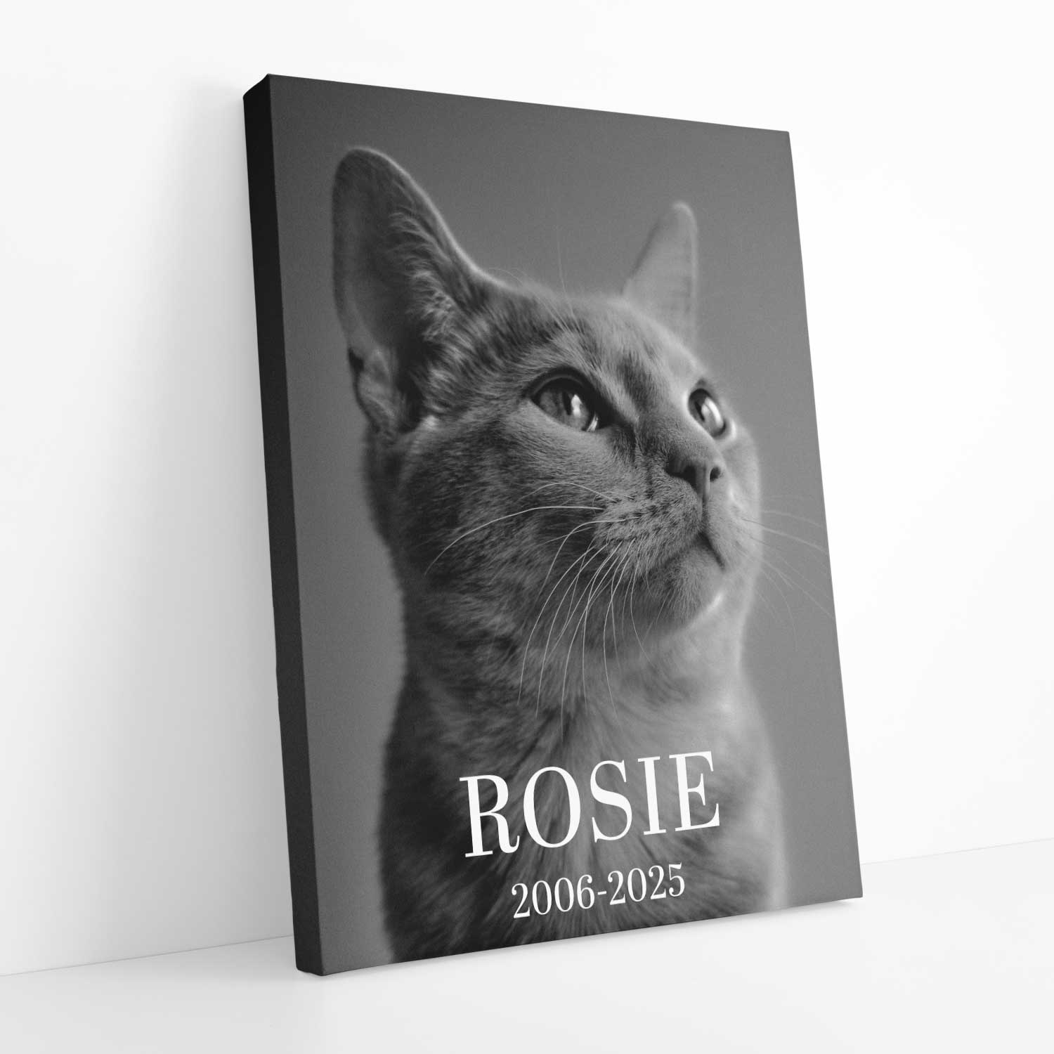 Your Cat Full Photo Black & White Memorial Canvas