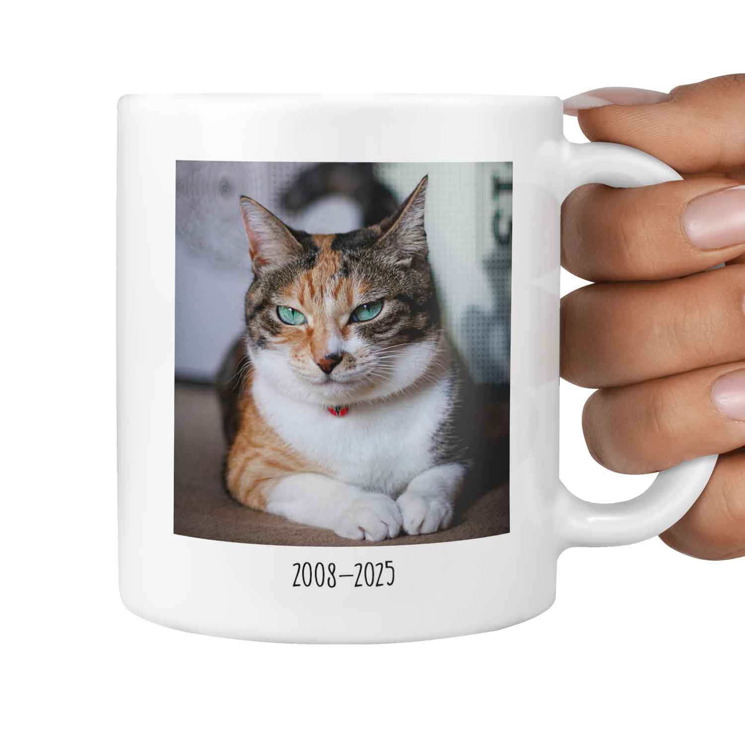 (Name) Favourite Hello & Hardest Goodbye Cat Memorial Mug