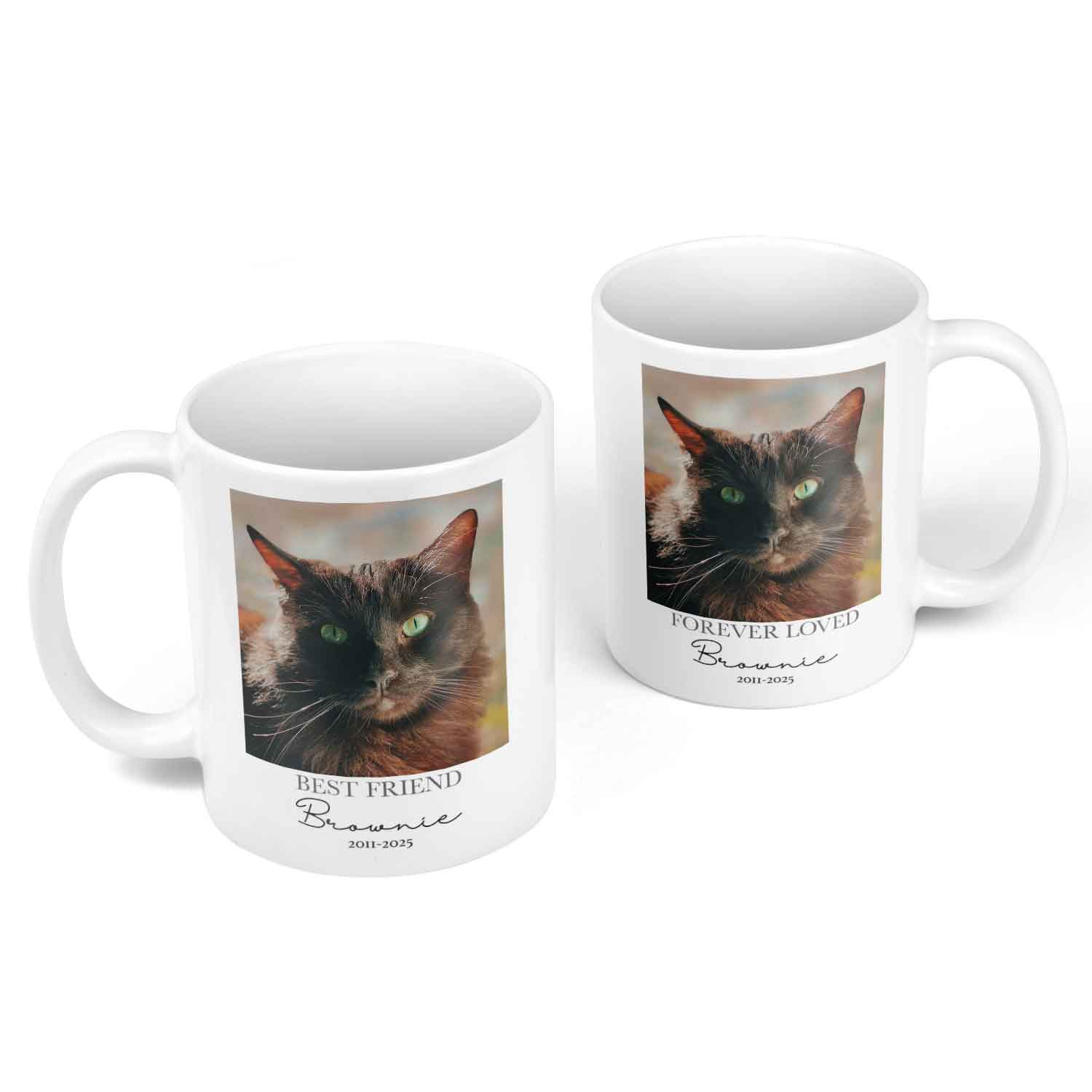 Best Friend Forever Loved Cat Photo Memorial Mug