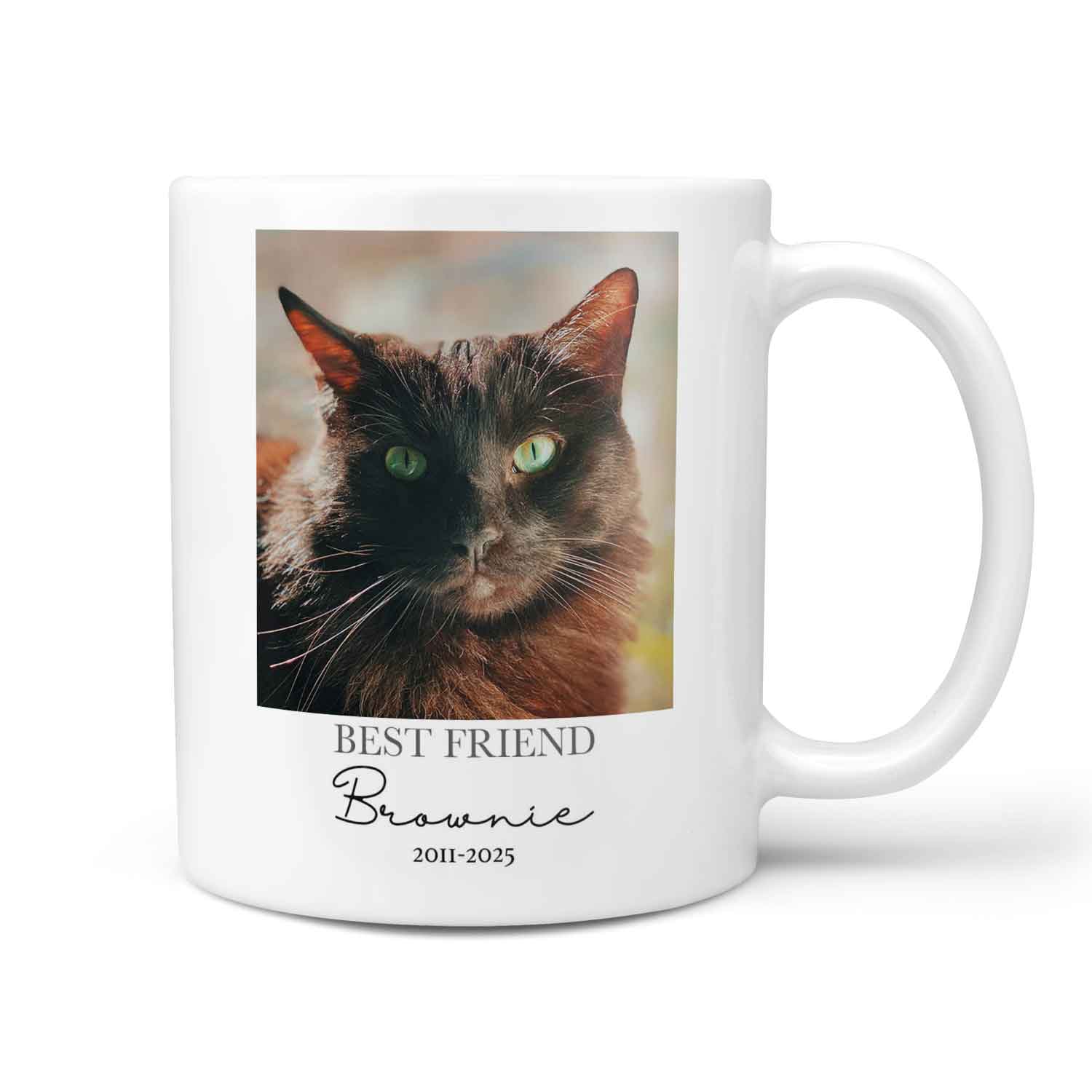 Best Friend Forever Loved Cat Photo Memorial Mug