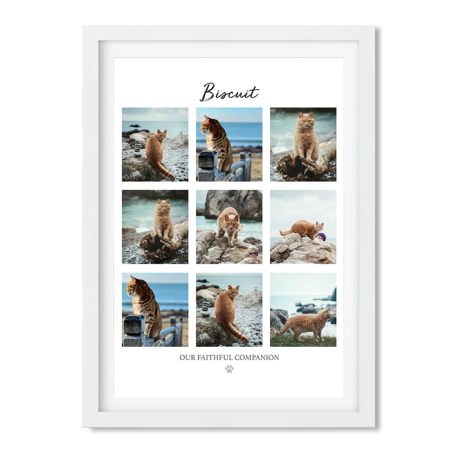 (Cat Name) Our Faithful Companion Photo Collage Memorial Print