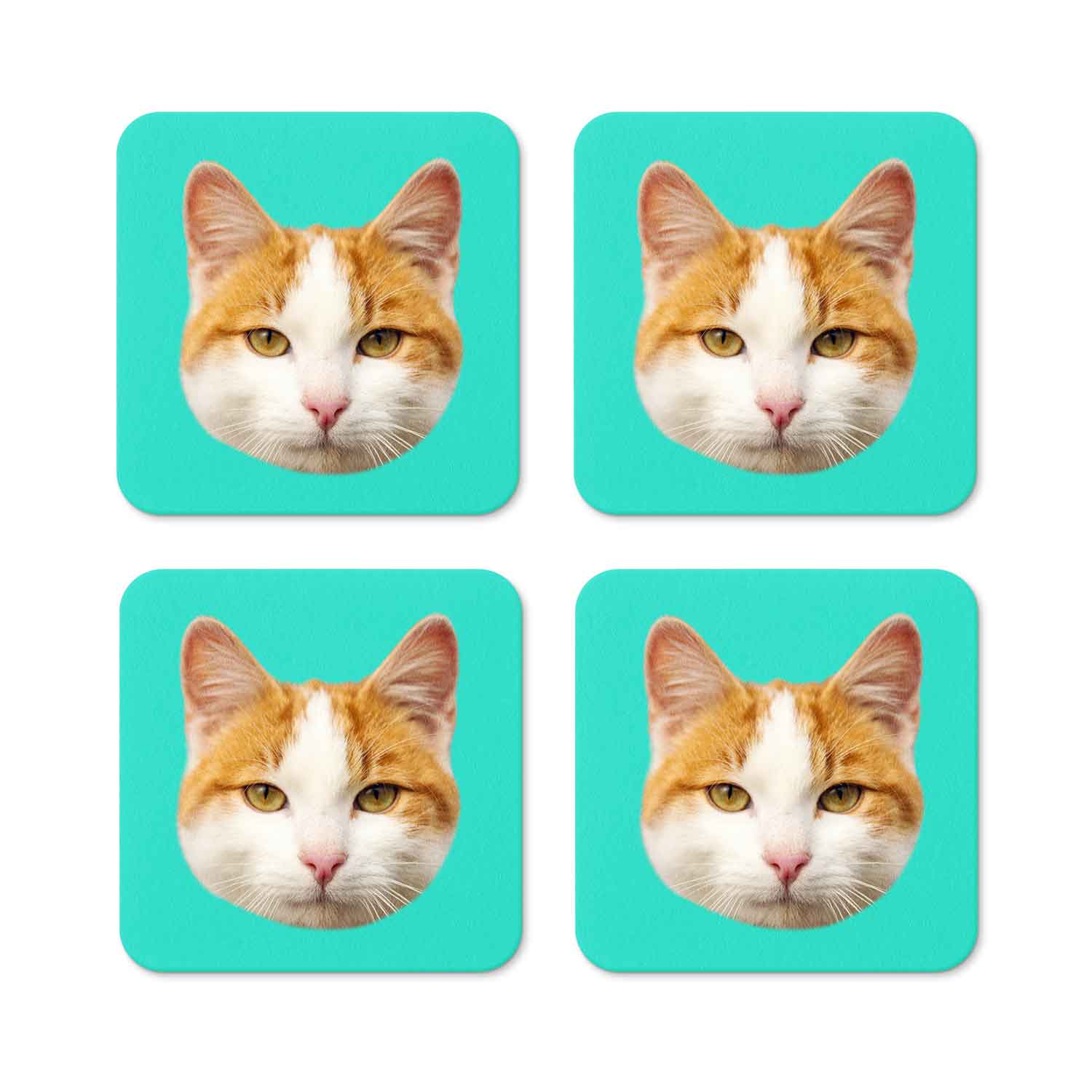 Your Cat Personalised Coasters