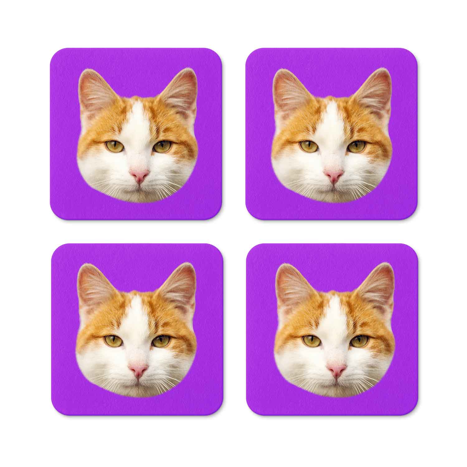 Your Cat Personalised Coasters