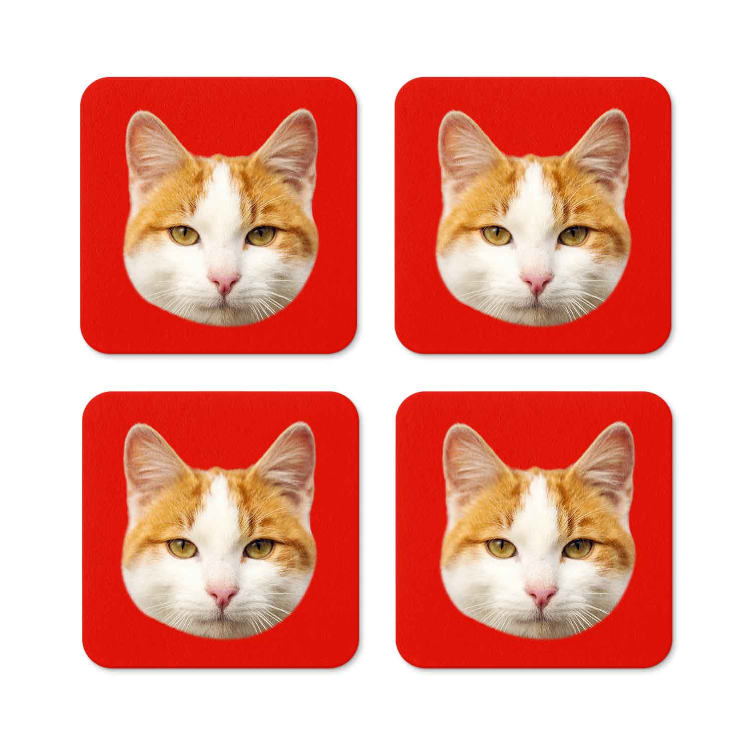 Your Cat Personalised Coasters