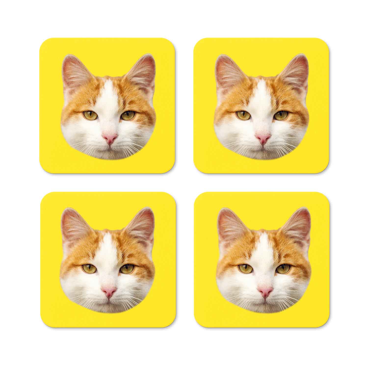 Your Cat Personalised Coasters