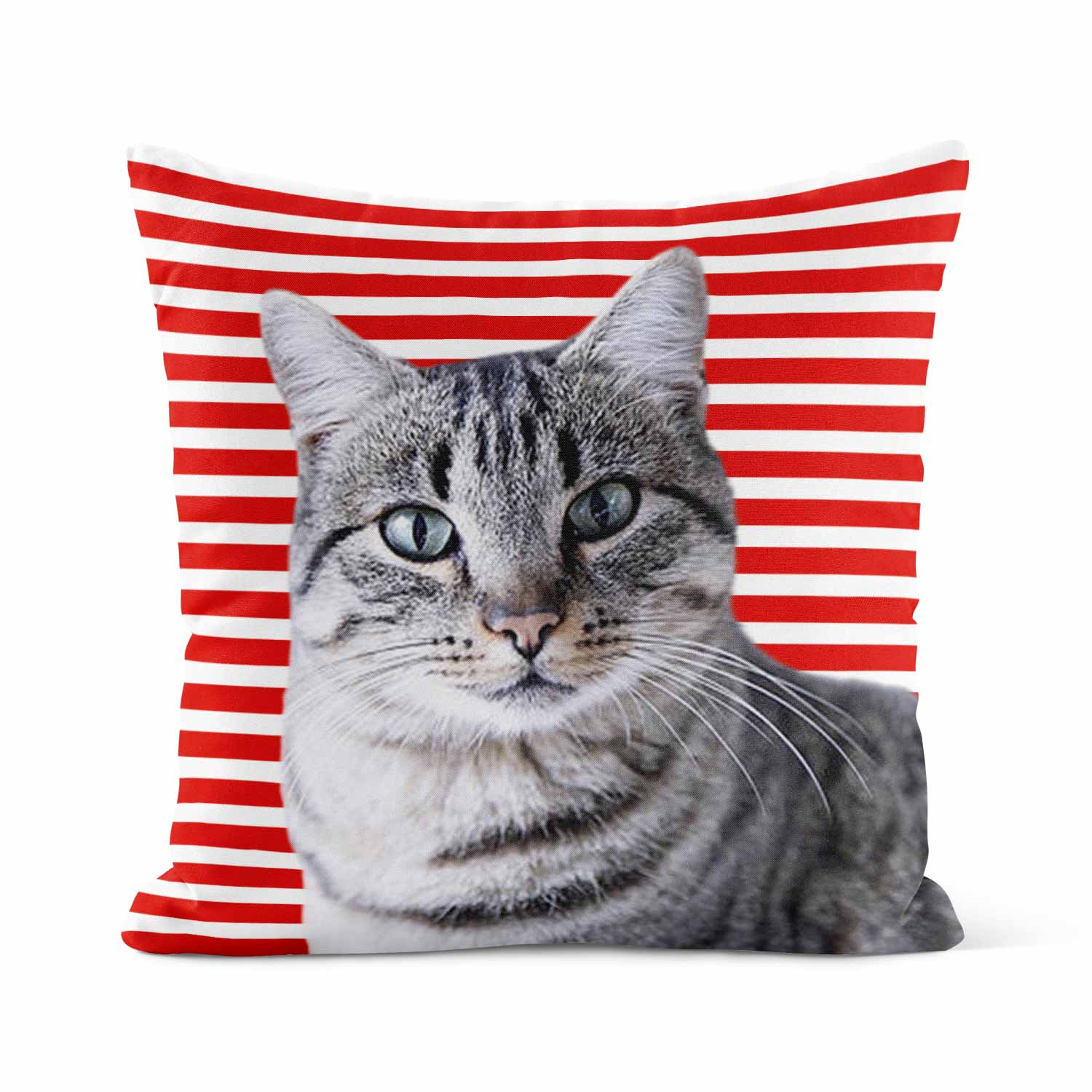 Your Cat Stripe Pattern Cushion