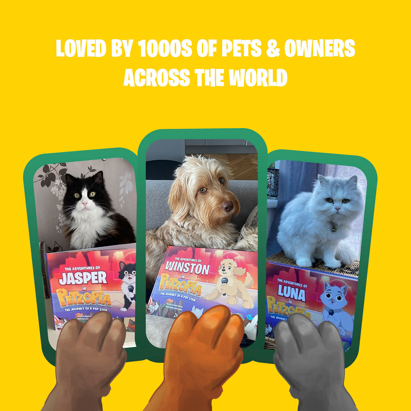 The Journey of a Pop Star Personalised Cat Storybook