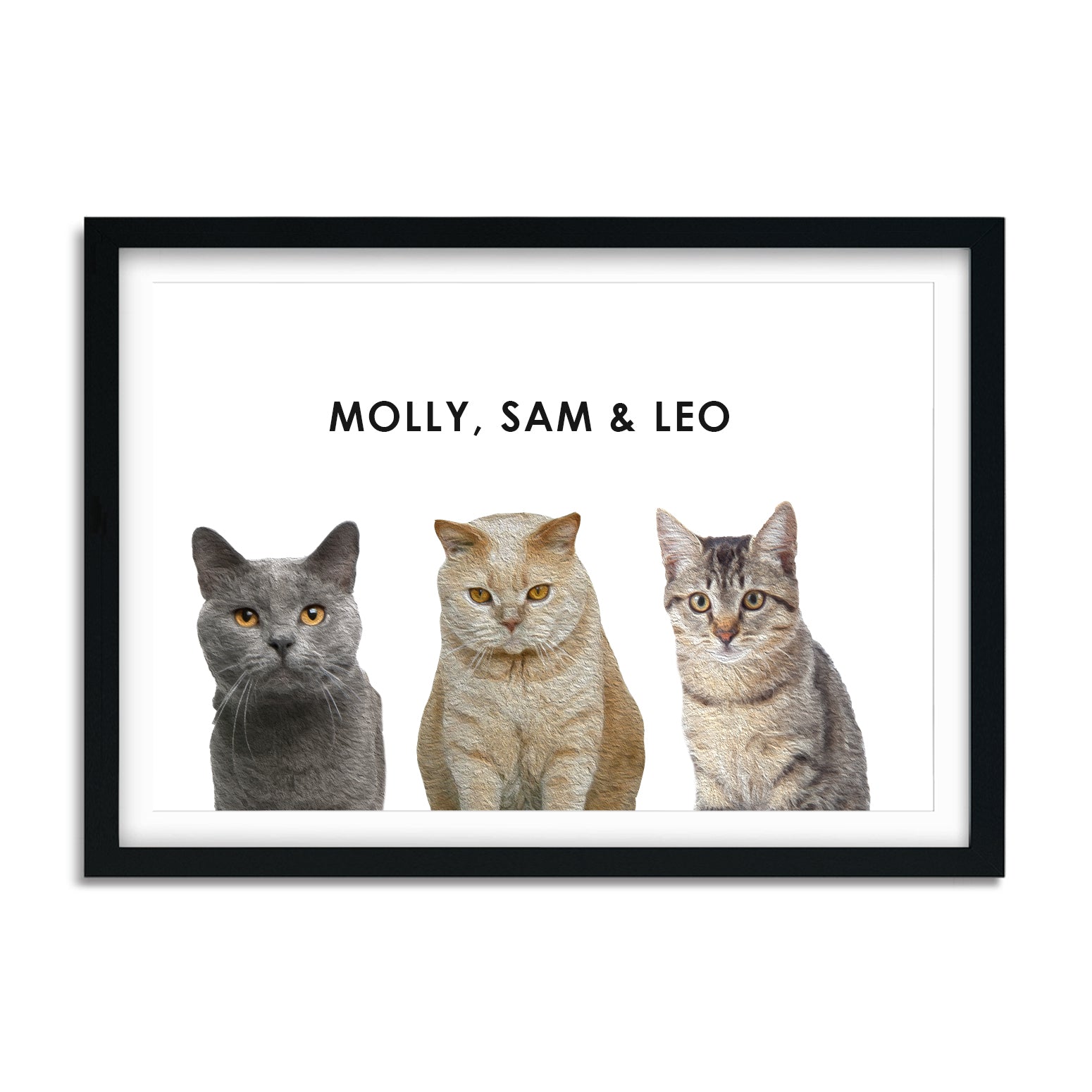 Custom 2 or 3 Cats Portrait