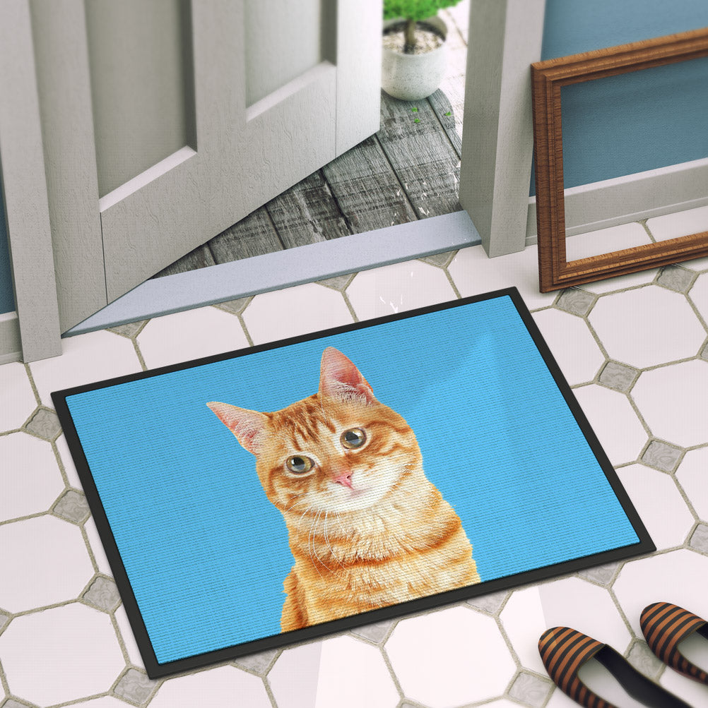Your Cat Door Mat