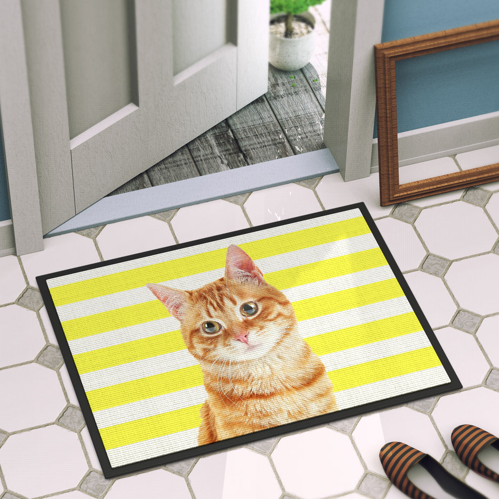 Your Cat Door Mat