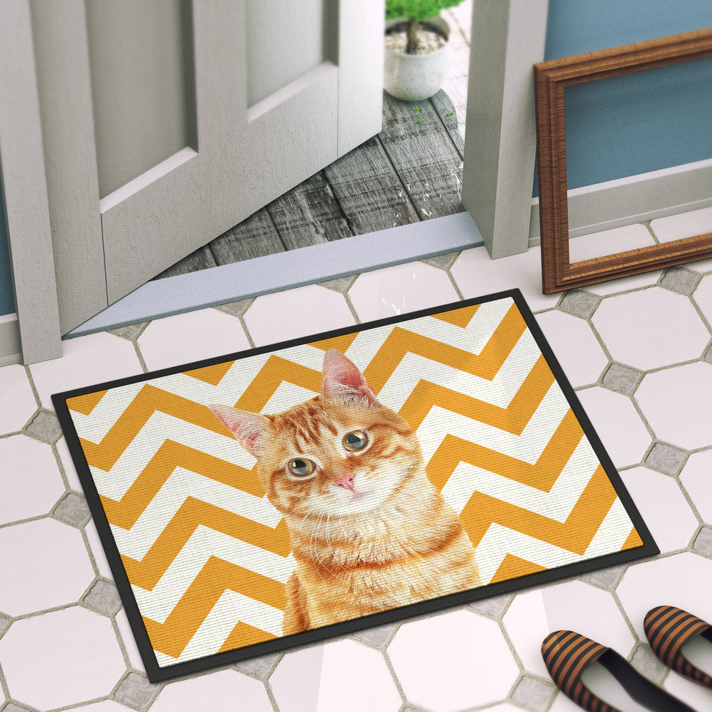 Your Cat Door Mat