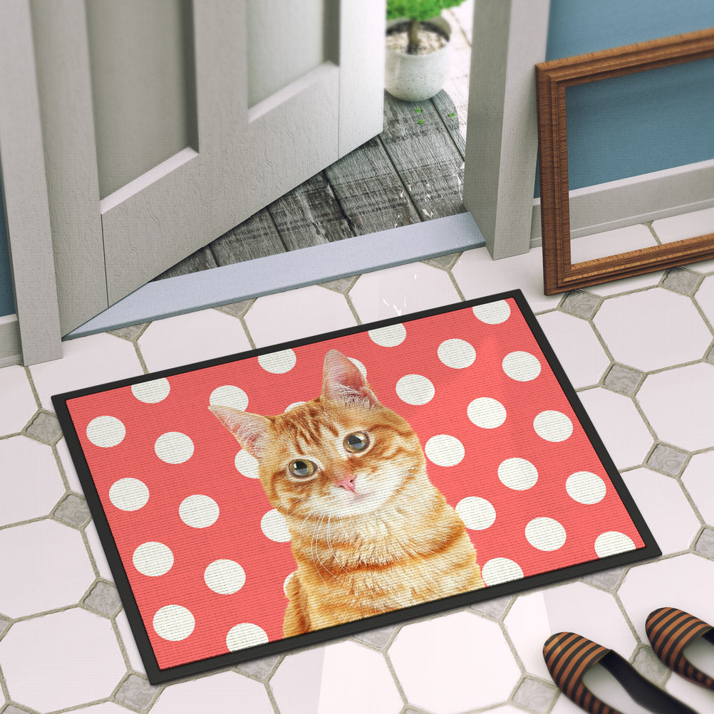 Your Cat Door Mat