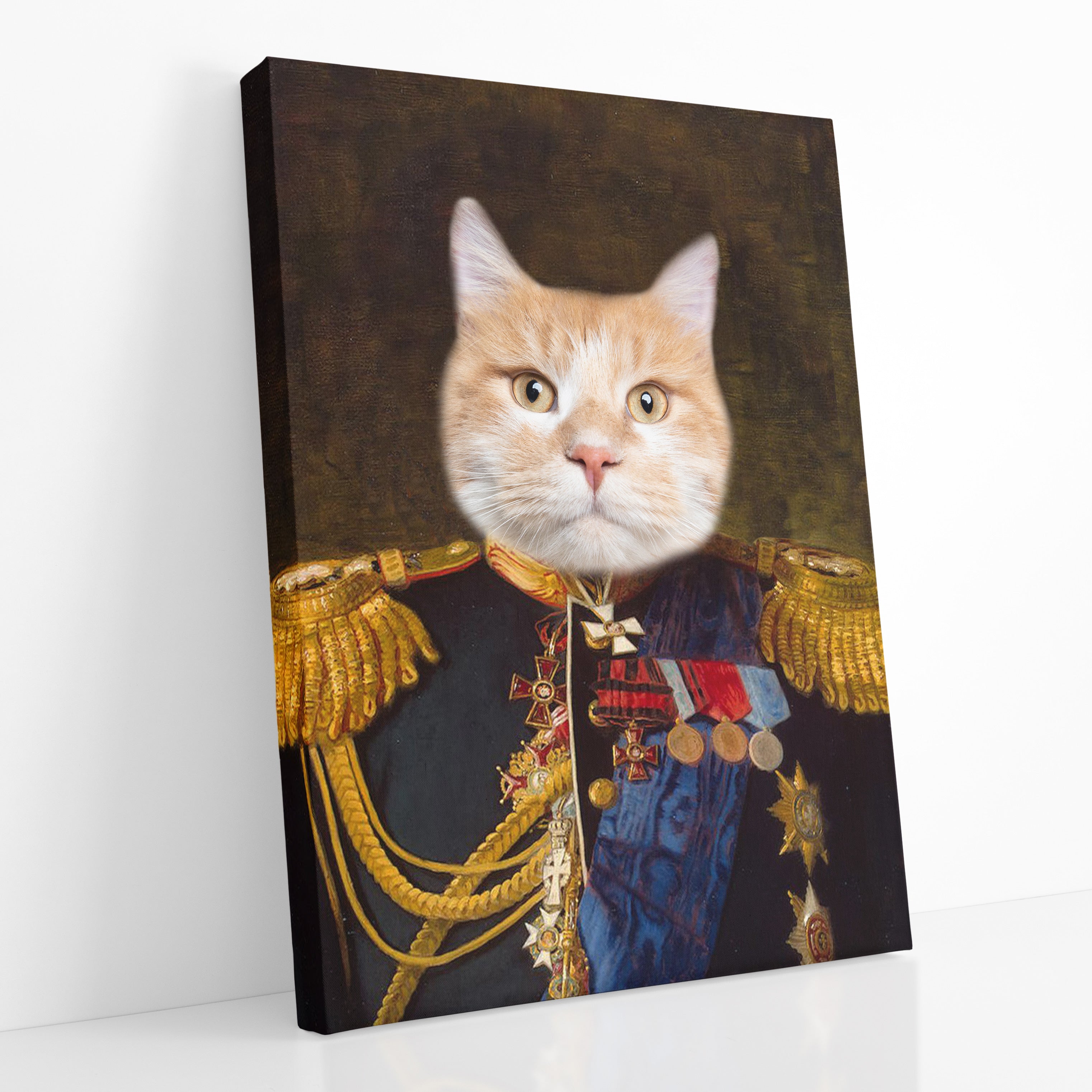 Cat Admiral Canvas