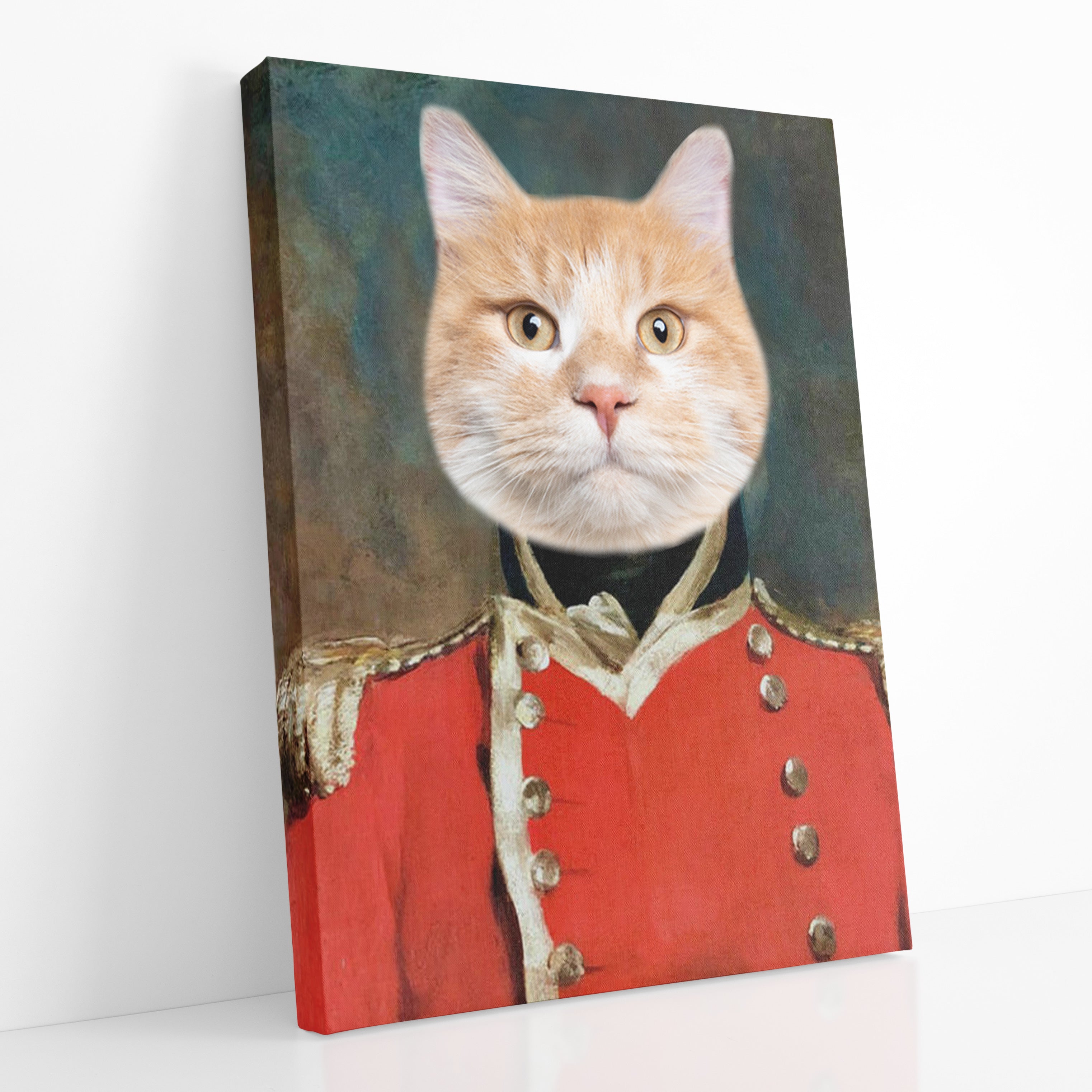 Cat Soldier Canvas