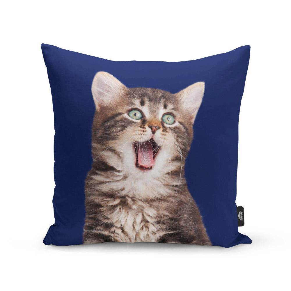 Your Cat Cushion