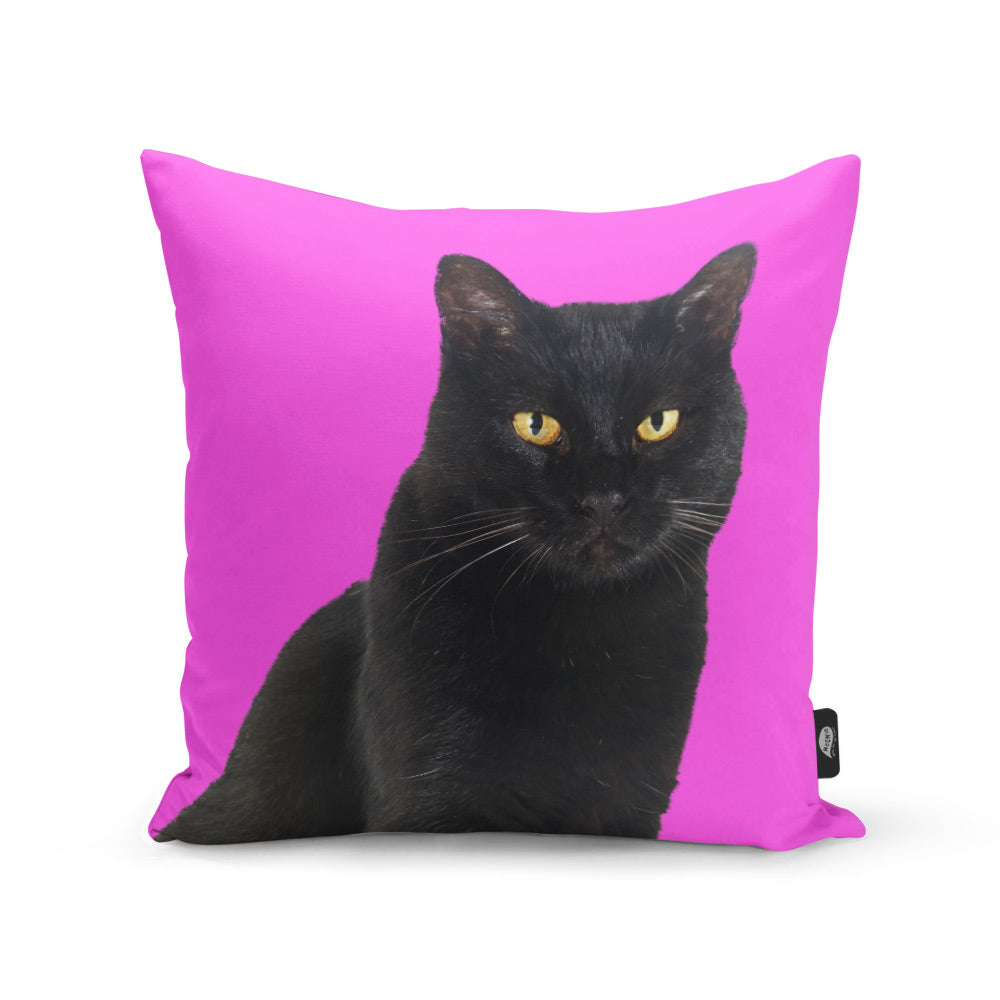 Your Cat Cushion