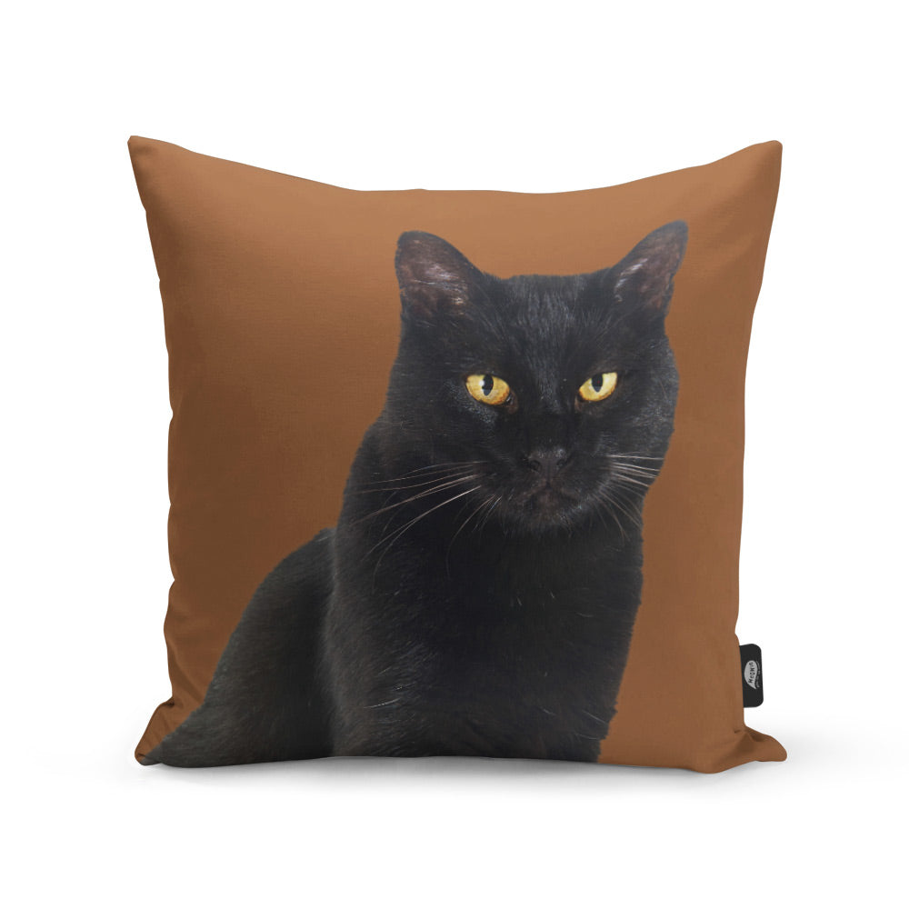 Your Cat Cushion