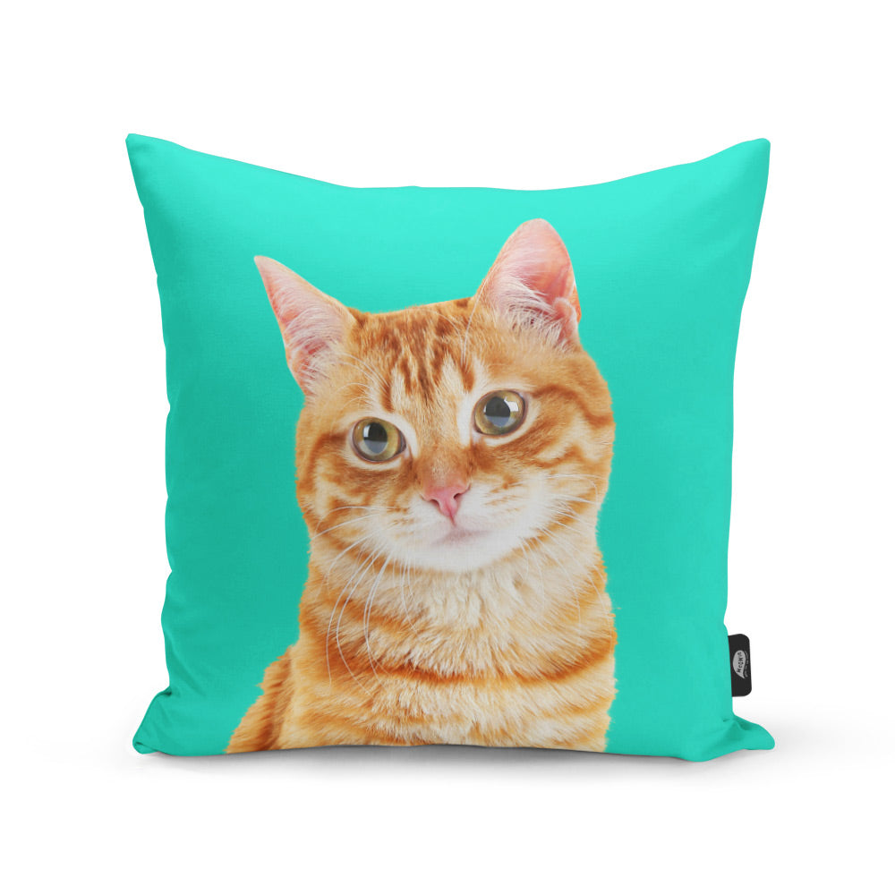 Your Cat Cushion