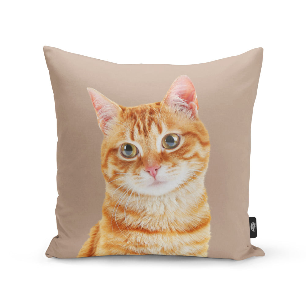 Your Cat Cushion