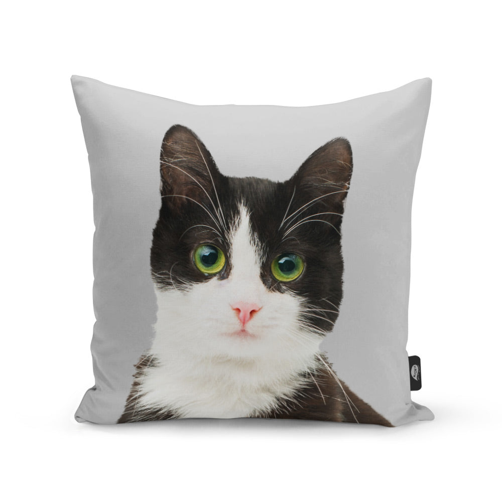 Your Cat Cushion