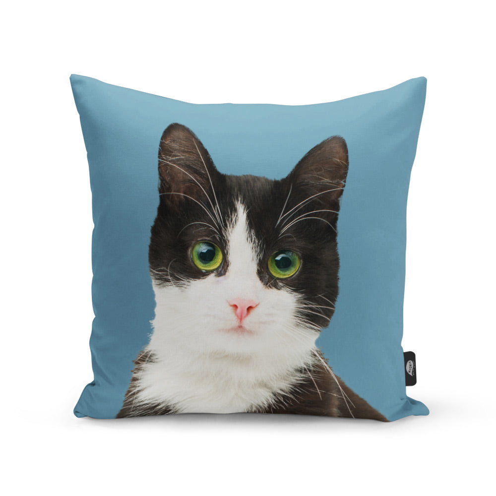 Your Cat Cushion