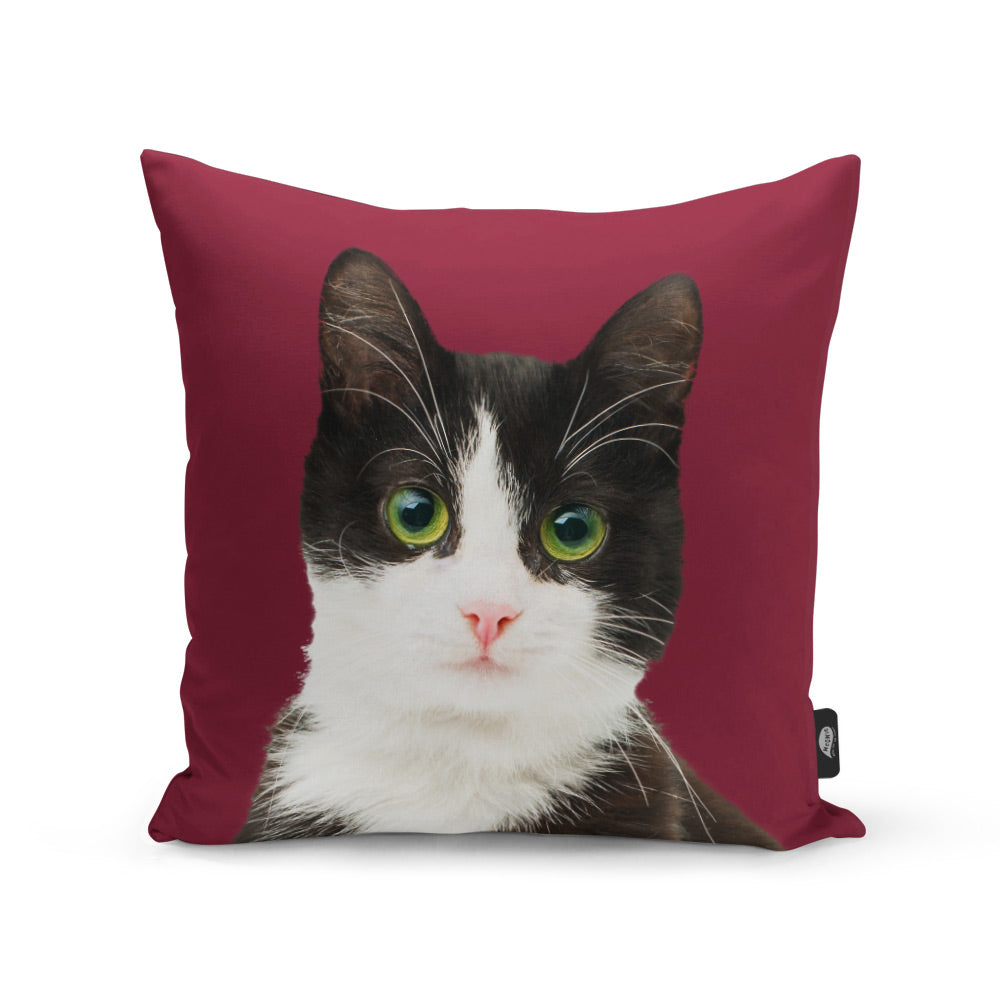 Your Cat Cushion