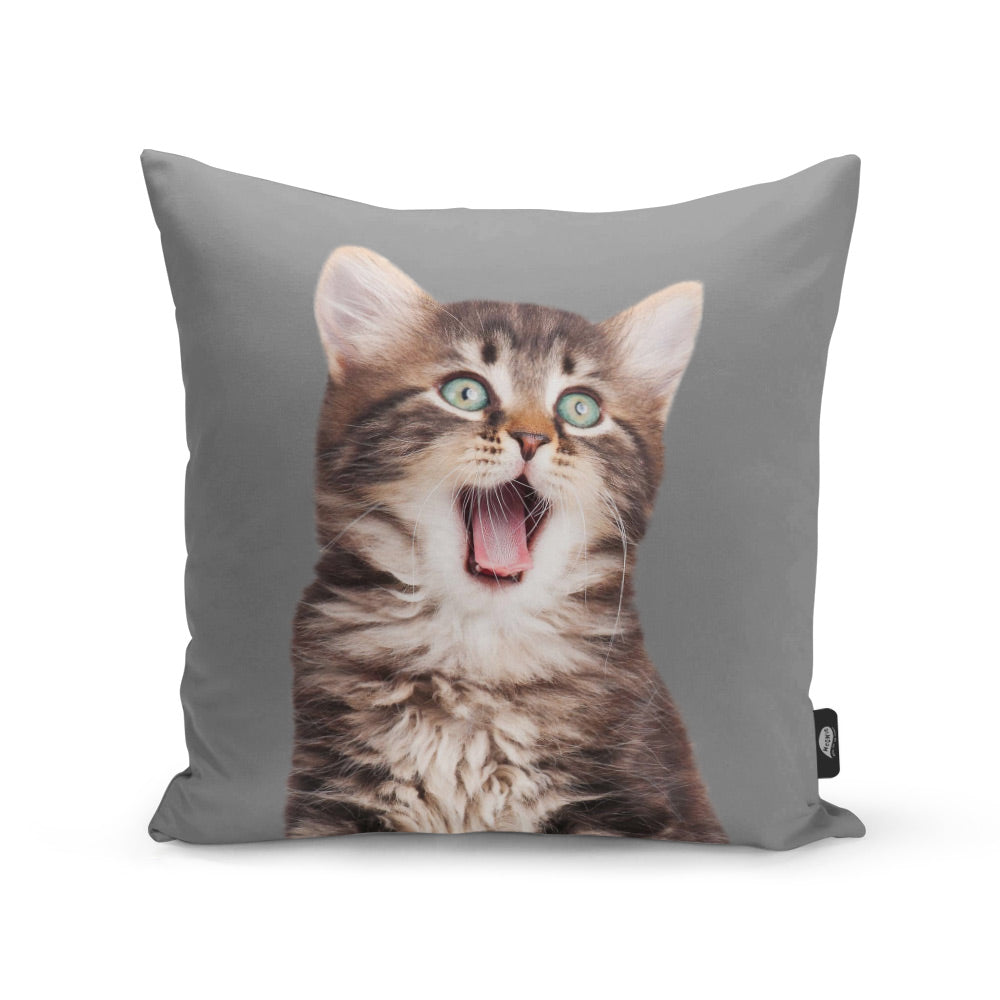 Your Cat Cushion