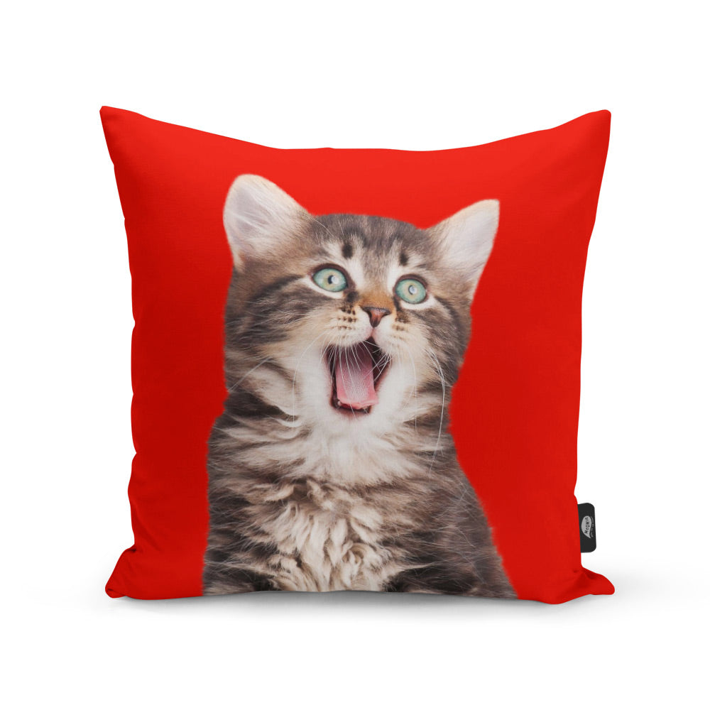 Your Cat Cushion