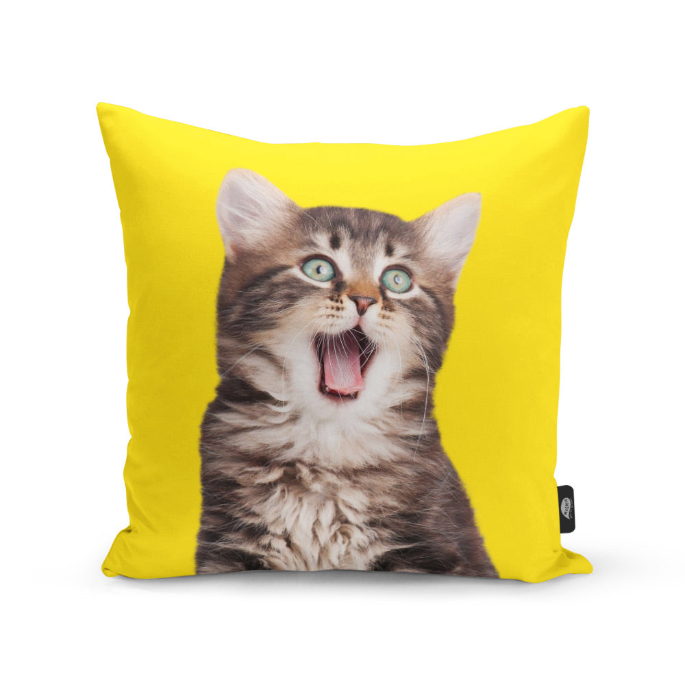 Your Cat Cushion