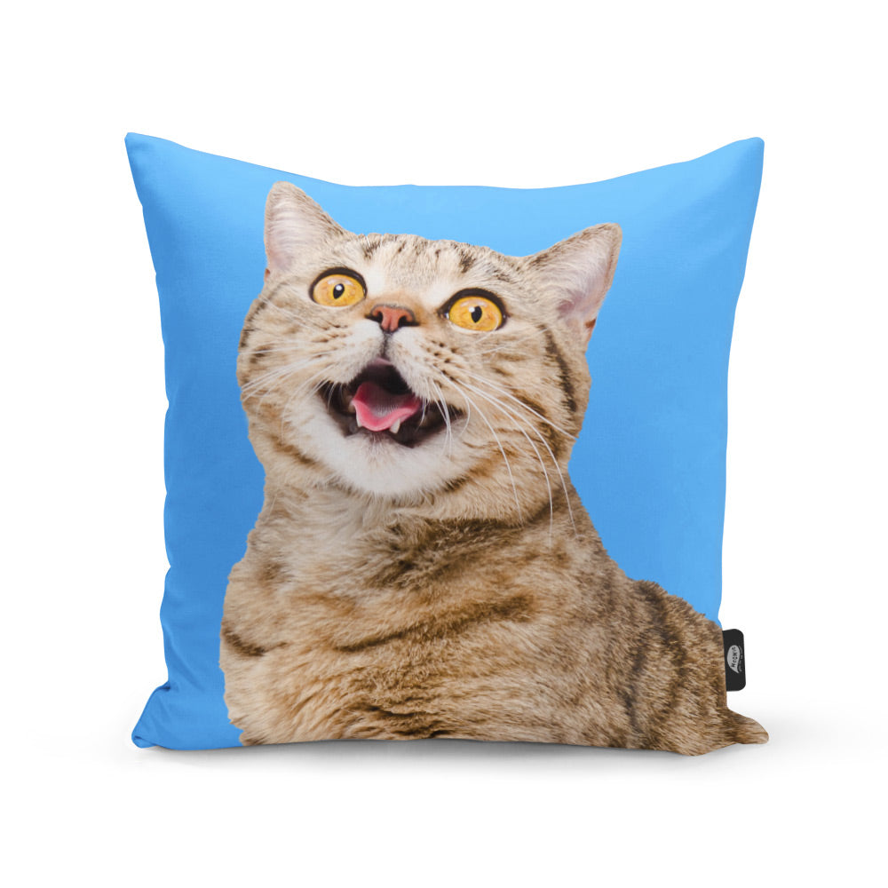 Your Cat Cushion