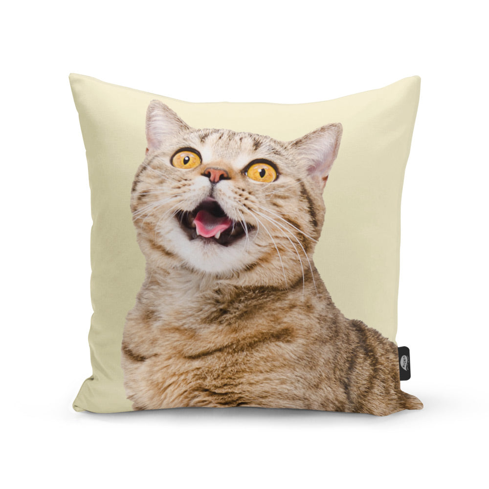 Your Cat Cushion