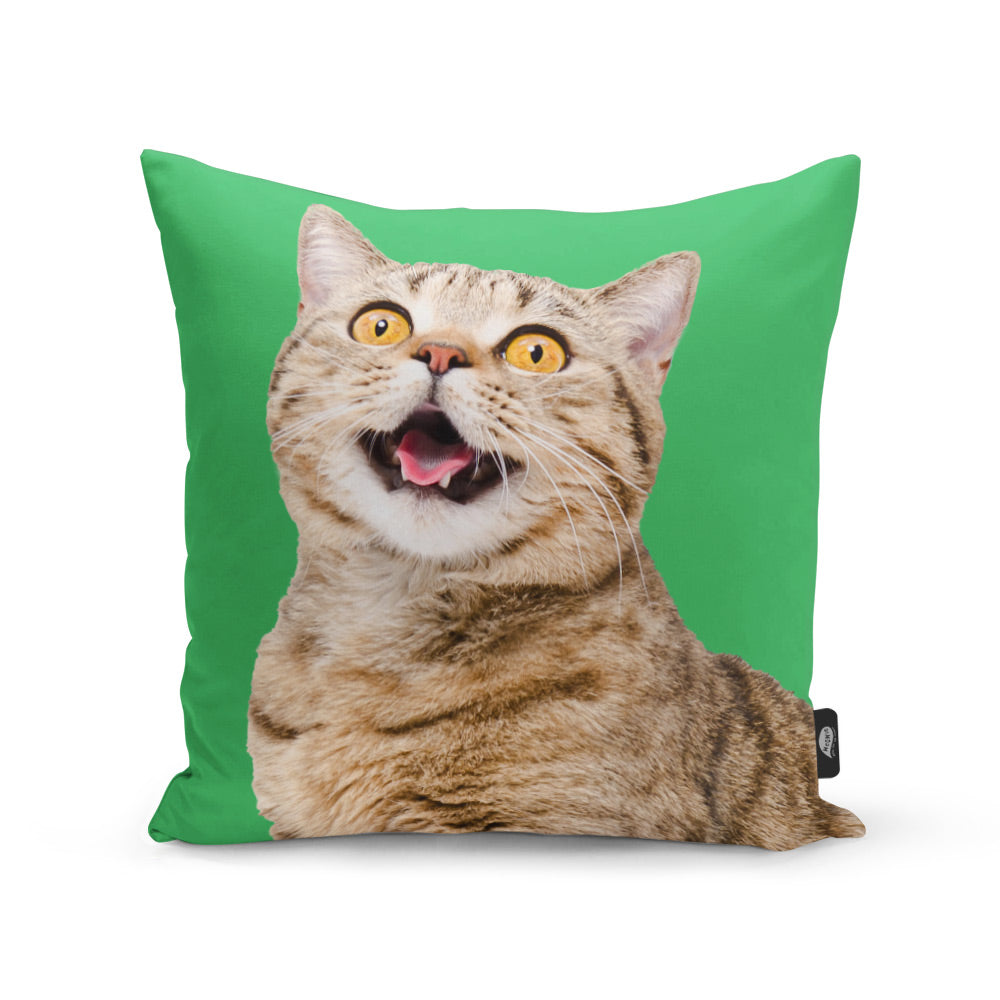 Your Cat Cushion