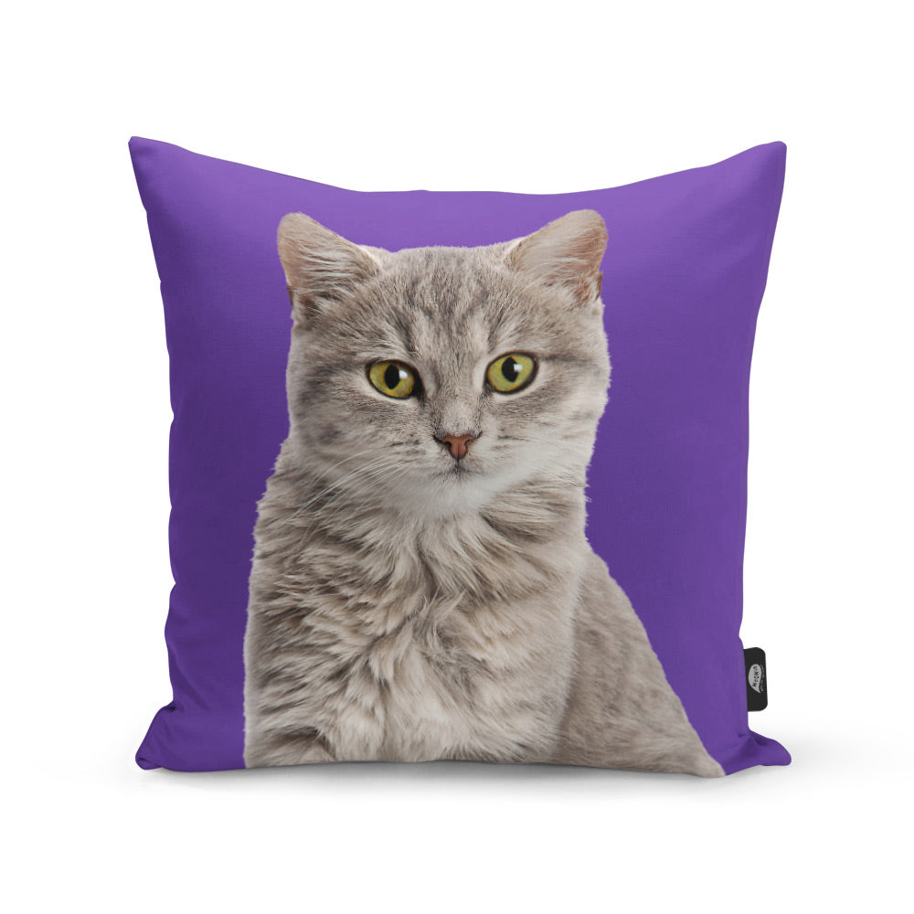 Your Cat Cushion