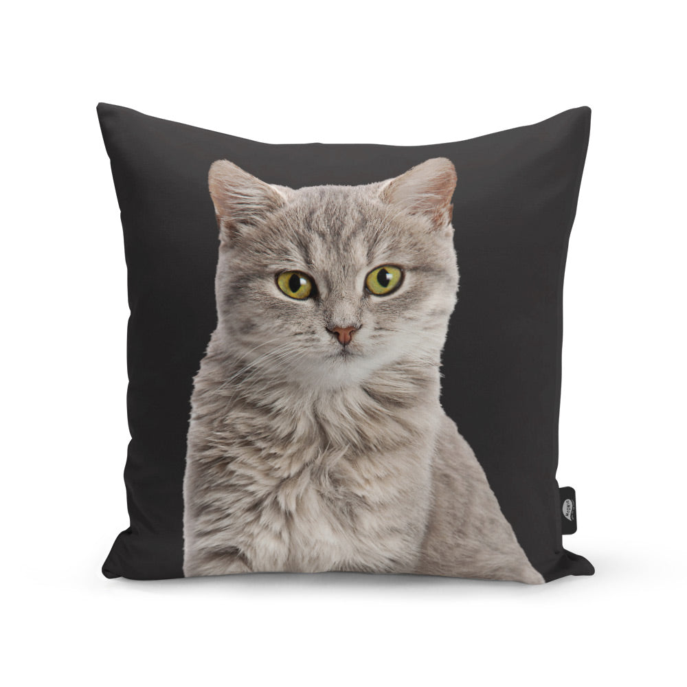 Your Cat Cushion