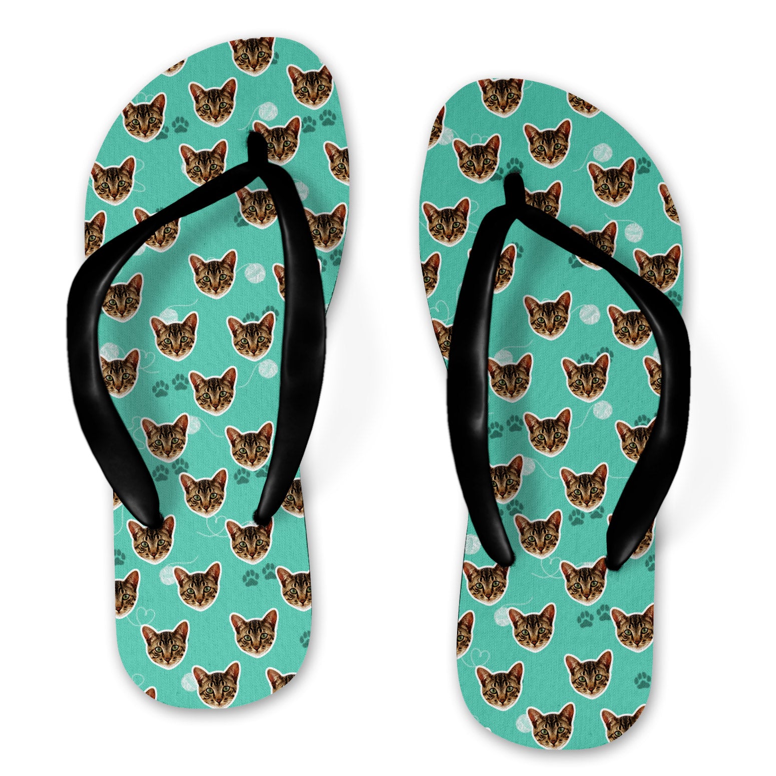 Your Cat Flip Flops