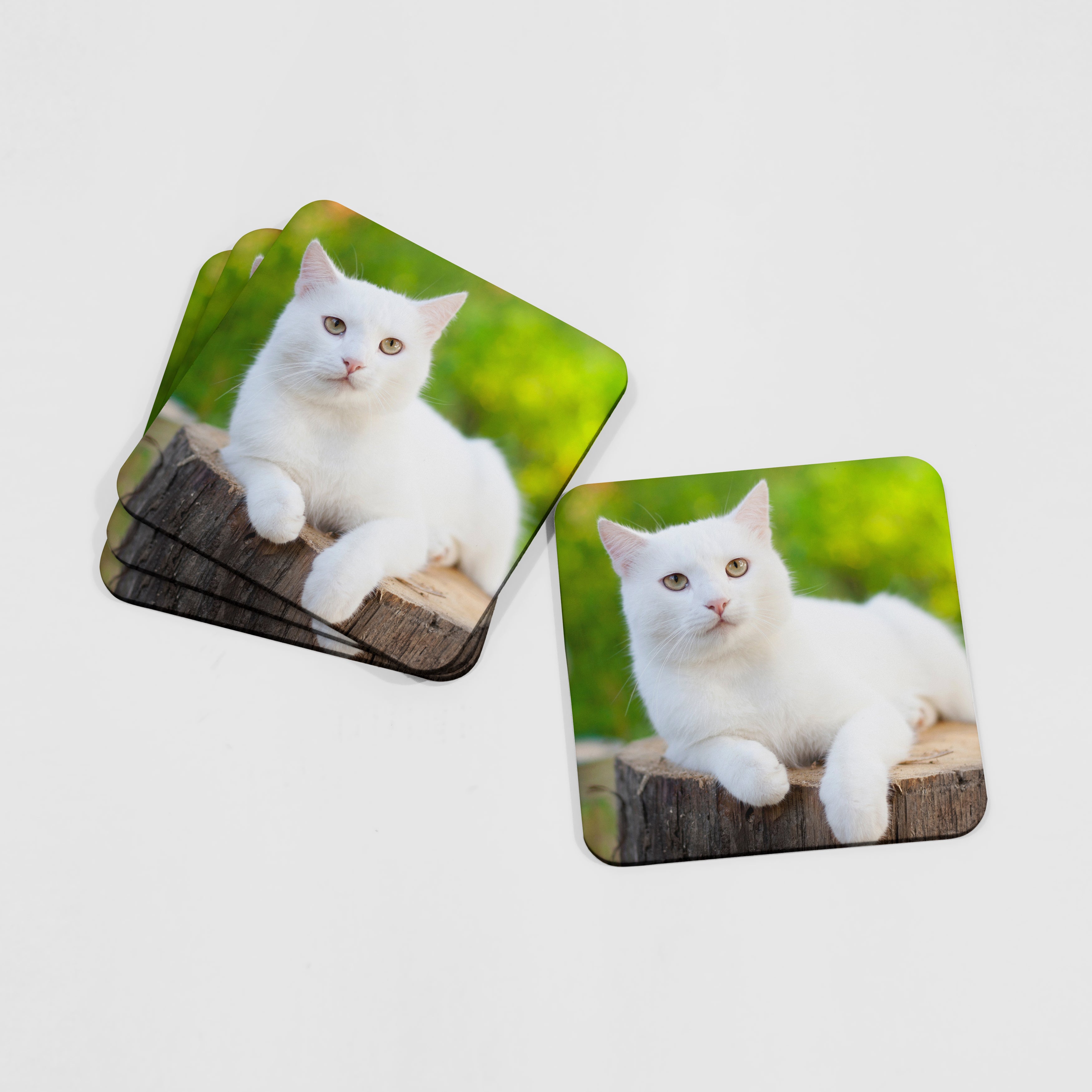 Cat Photo Coasters