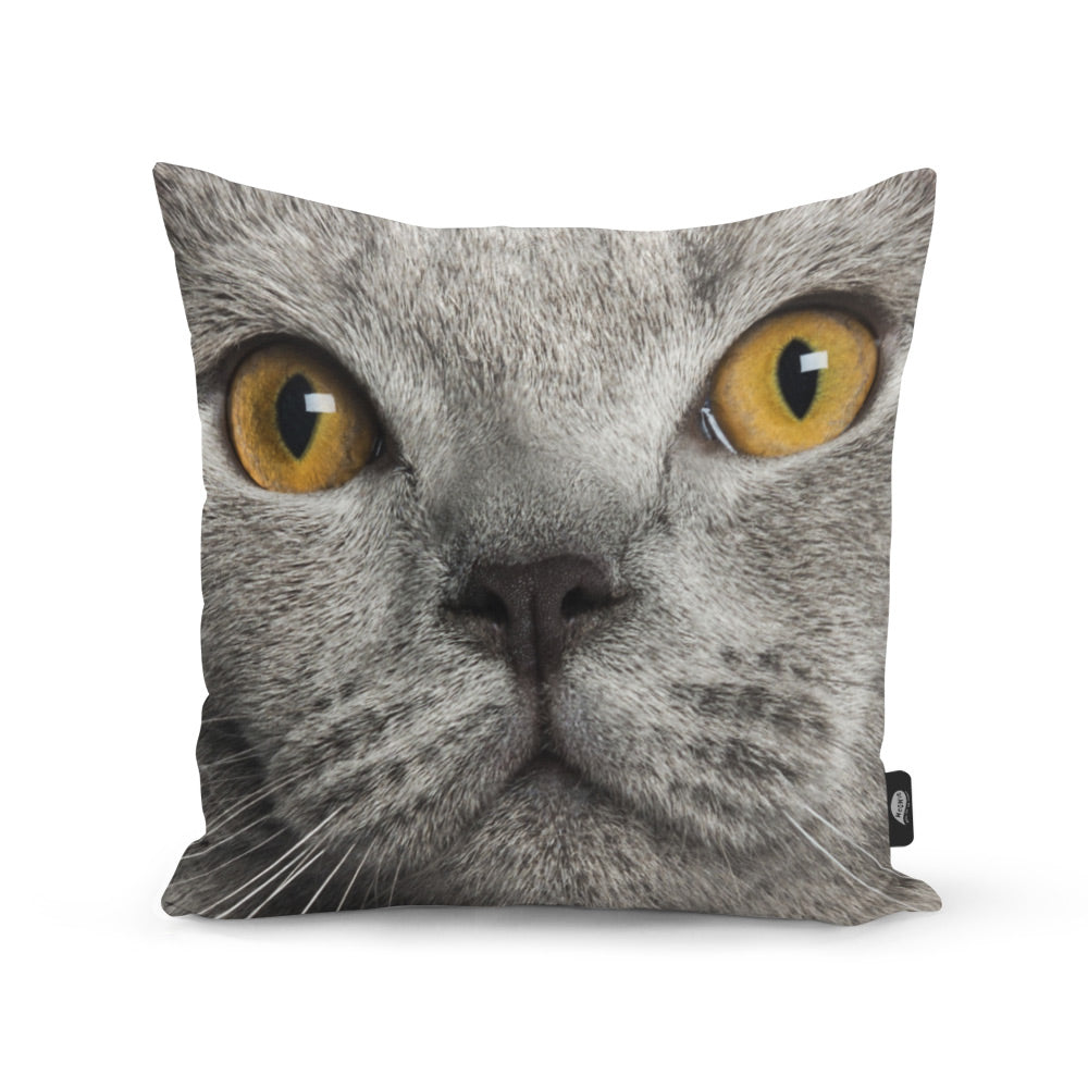 Your Cat Face Splat Cushion