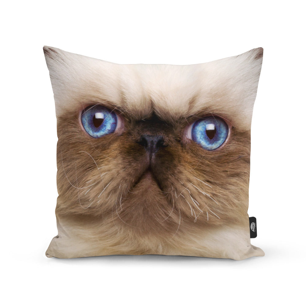 Your Cat Face Splat Cushion