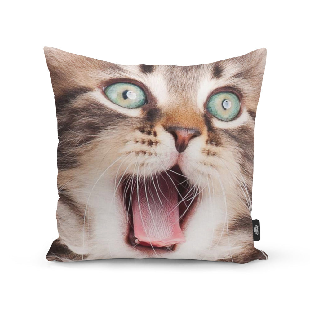 Your Cat Face Splat Cushion